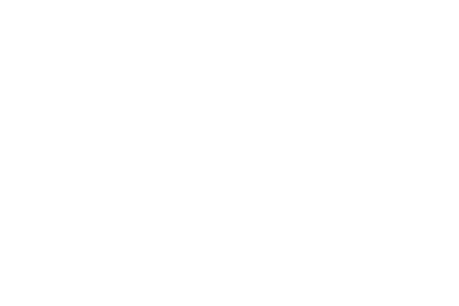 Wrocław University of Technology logo
